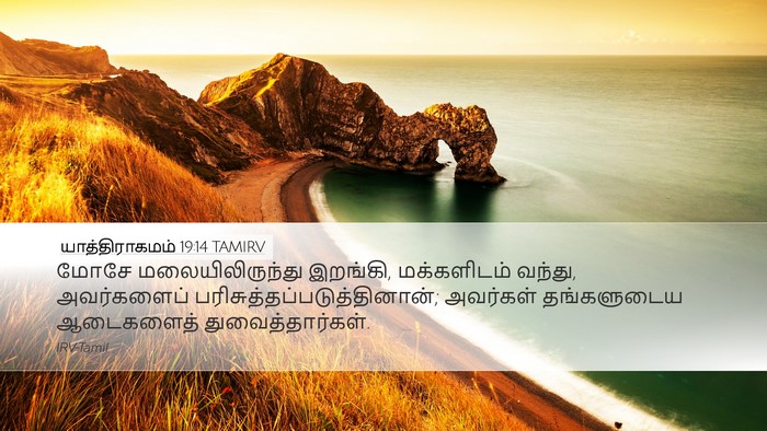 யாத்திராகமம் 19:14 TAMIRV Bible Verse Image
