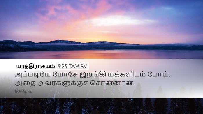 யாத்திராகமம் 19:25 TAMIRV Desktop Wallpaper - அப்படியே மோசே - Desktop Bible Verse Wallpaper