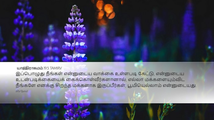 யாத்திராகமம் 19:5 TAMIRV Bible Verse Image