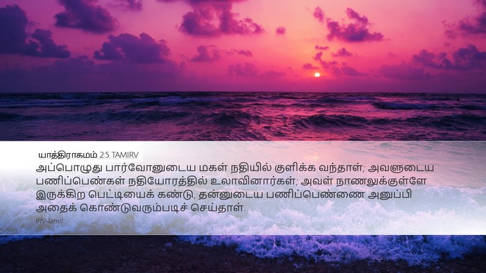 யாத்திராகமம் 2:5 TAMIRV Desktop Wallpaper - அப்பொழுது - Desktop Bible Verse Wallpaper