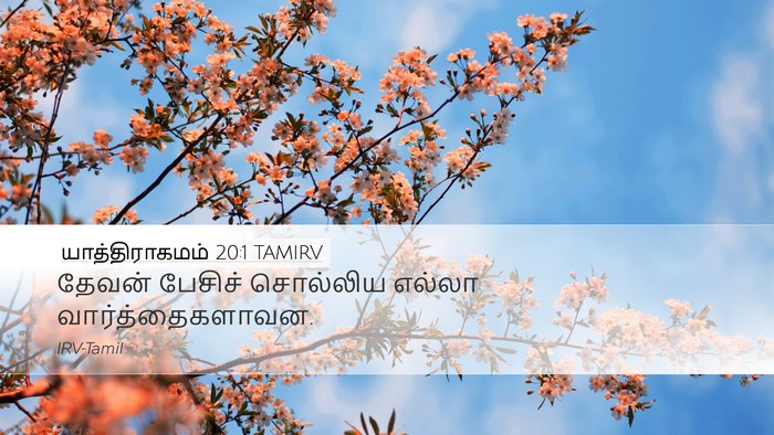 யாத்திராகமம் 20:1 TAMIRV Bible Verse Image