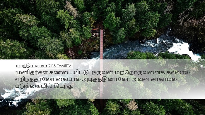 யாத்திராகமம் 21:18 TAMIRV Bible Verse Image