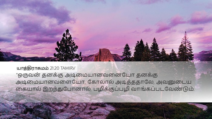 யாத்திராகமம் 21:20 TAMIRV Bible Verse Image