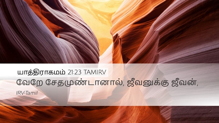 யாத்திராகமம் 21:23 TAMIRV Bible Verse Image