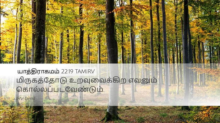 யாத்திராகமம் 22:19 TAMIRV Bible Verse Image