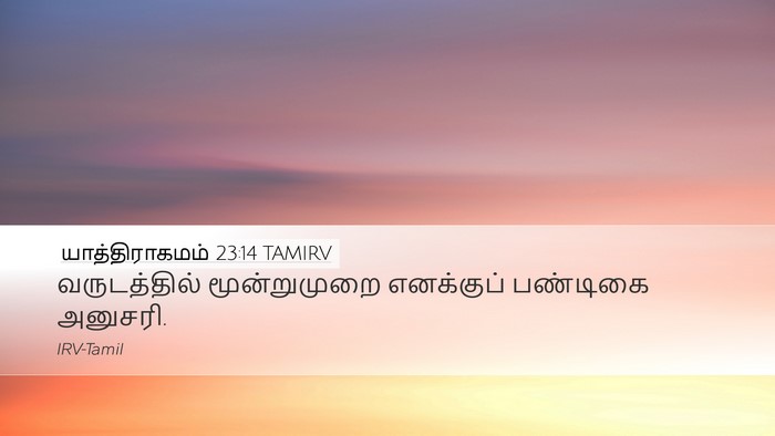 யாத்திராகமம் 23:14 TAMIRV Bible Verse Image