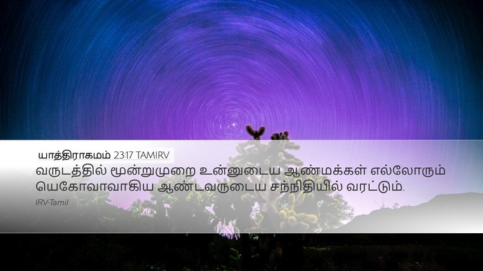 யாத்திராகமம் 23:17 TAMIRV Bible Verse Image