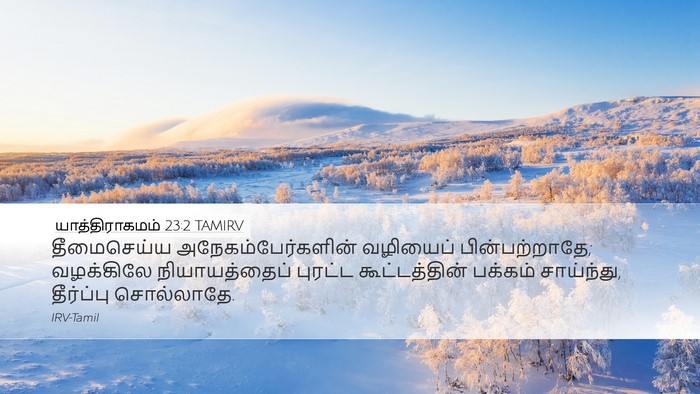 யாத்திராகமம் 23:2 TAMIRV Bible Verse Image
