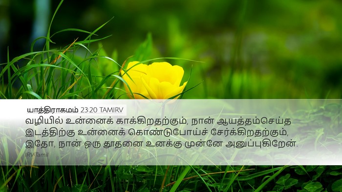யாத்திராகமம் 23:20 TAMIRV Bible Verse Image