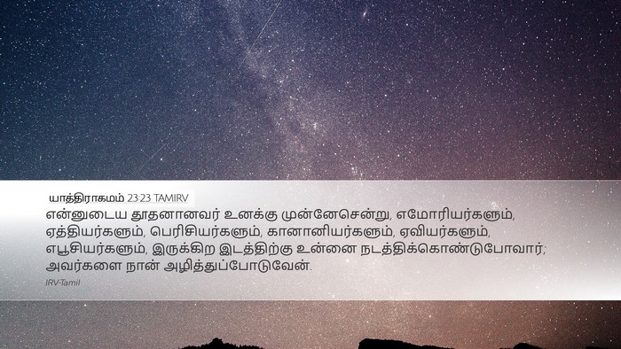 யாத்திராகமம் 23:23 TAMIRV Bible Verse Image