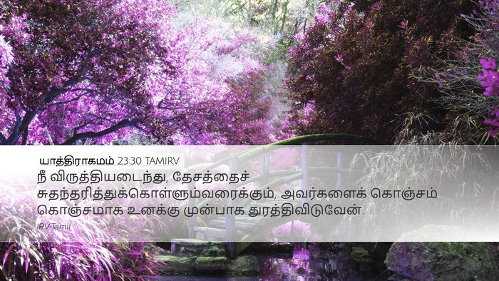 யாத்திராகமம் 23:30 TAMIRV Bible Verse Image