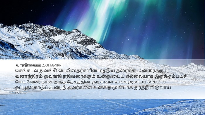 யாத்திராகமம் 23:31 TAMIRV Bible Verse Image