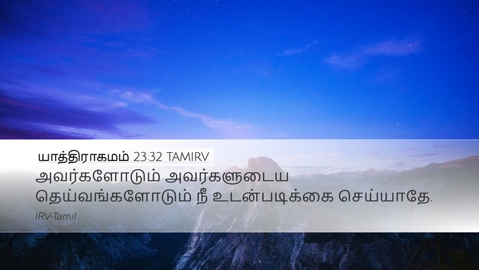 யாத்திராகமம் 23:32 TAMIRV Bible Verse Image