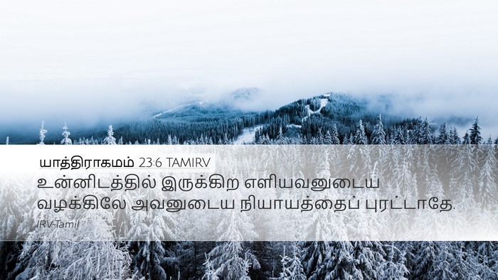 யாத்திராகமம் 23:6 TAMIRV Bible Verse Image