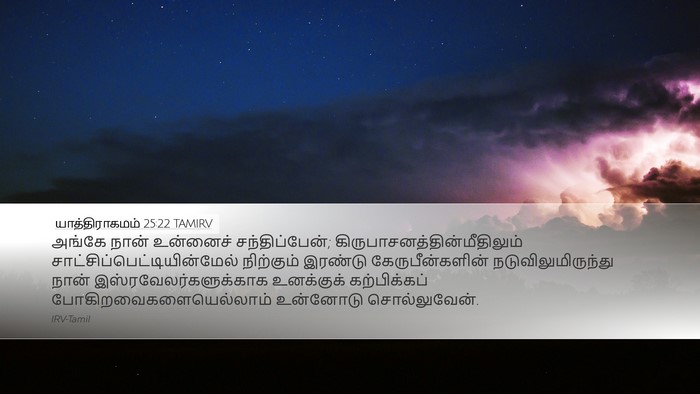 யாத்திராகமம் 25:22 TAMIRV Bible Verse Image