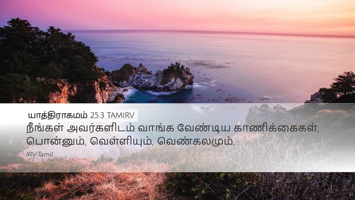 யாத்திராகமம் 25:3 TAMIRV Bible Verse Image