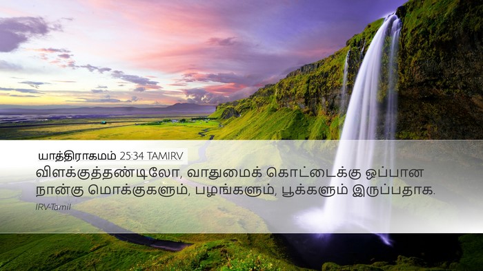 யாத்திராகமம் 25:34 TAMIRV Desktop Wallpaper - விளக்குத்தண்டிலோ, - Desktop Bible Verse Wallpaper