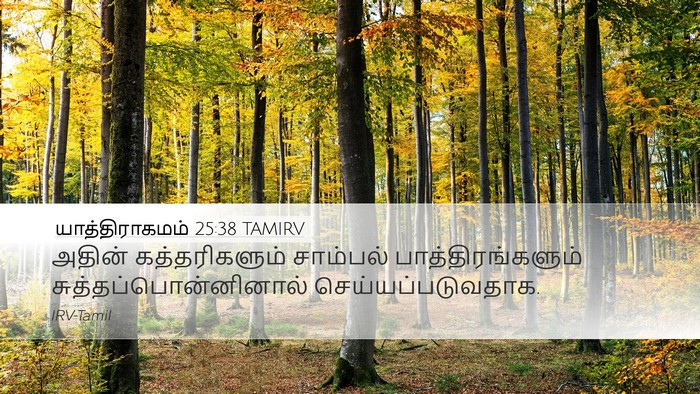 யாத்திராகமம் 25:38 TAMIRV Desktop Wallpaper - அதின் கத்தரிகளும் - Desktop Bible Verse Wallpaper