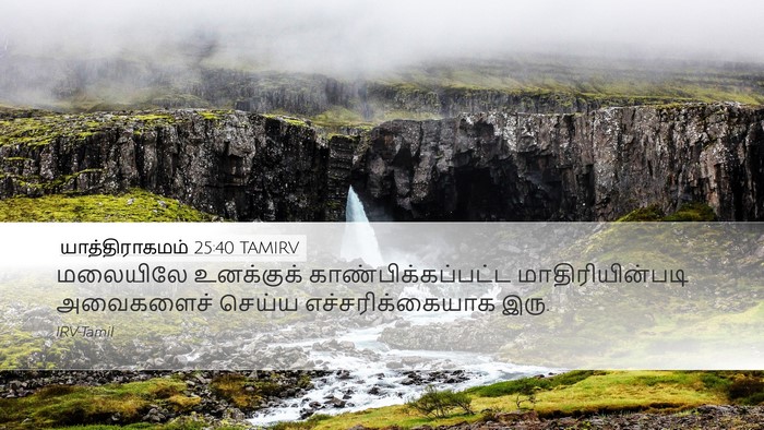 யாத்திராகமம் 25:40 TAMIRV Bible Verse Image