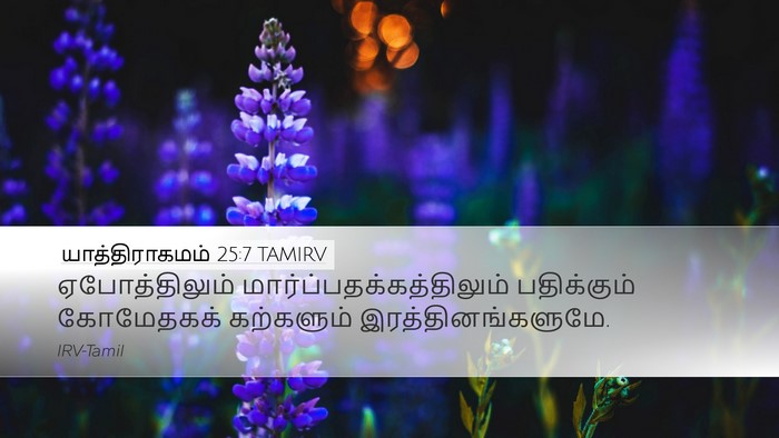 யாத்திராகமம் 25:7 TAMIRV Bible Verse Image