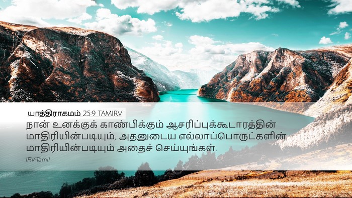 யாத்திராகமம் 25:9 TAMIRV Bible Verse Image
