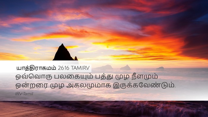யாத்திராகமம் 26:16 TAMIRV Desktop Wallpaper - ஒவ்வொரு பலகையும் - Desktop Bible Verse Wallpaper