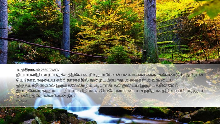 யாத்திராகமம் 28:30 TAMIRV Bible Verse Image