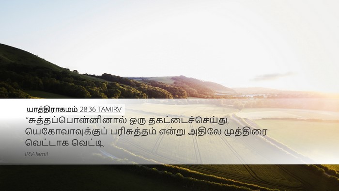 யாத்திராகமம் 28:36 TAMIRV Bible Verse Image