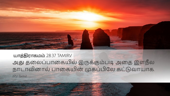 யாத்திராகமம் 28:37 TAMIRV Bible Verse Image