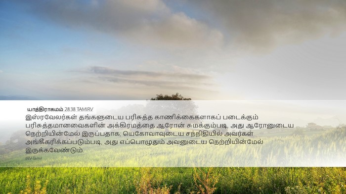 யாத்திராகமம் 28:38 TAMIRV Bible Verse Image