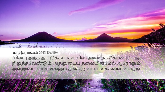 யாத்திராகமம் 29:15 TAMIRV Bible Verse Image