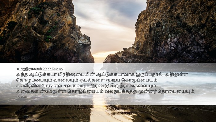 யாத்திராகமம் 29:22 TAMIRV Bible Verse Image