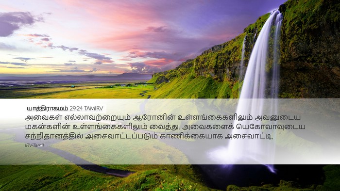 யாத்திராகமம் 29:24 TAMIRV Bible Verse Image