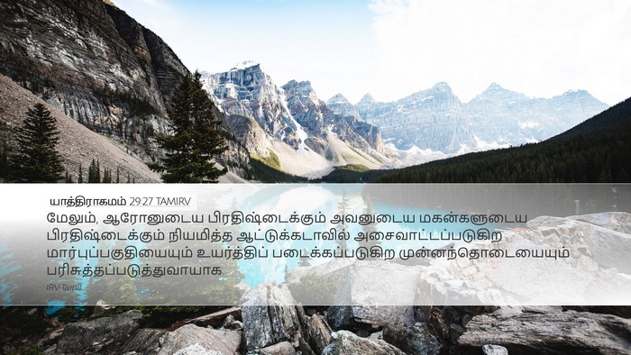 யாத்திராகமம் 29:27 TAMIRV Bible Verse Image