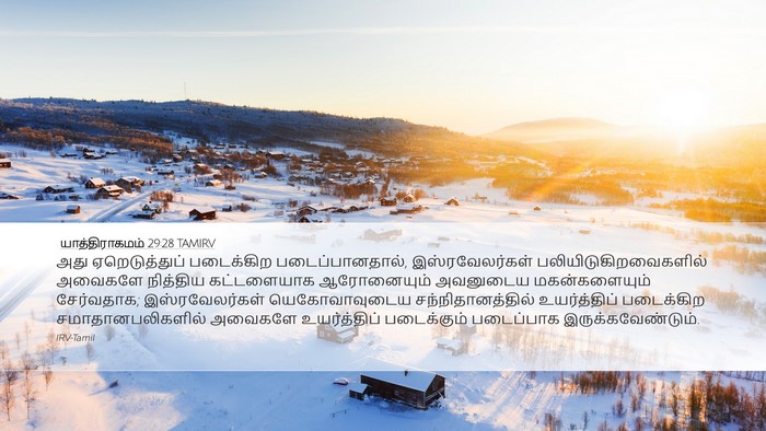 யாத்திராகமம் 29:28 TAMIRV Bible Verse Image