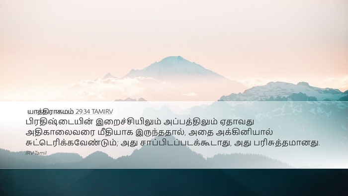 யாத்திராகமம் 29:34 TAMIRV Bible Verse Image