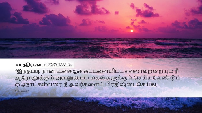 யாத்திராகமம் 29:35 TAMIRV Bible Verse Image