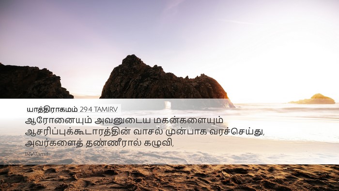 யாத்திராகமம் 29:4 TAMIRV Bible Verse Image