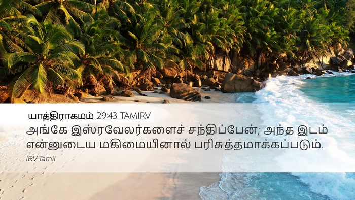 யாத்திராகமம் 29:43 TAMIRV Bible Verse Image