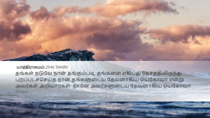 யாத்திராகமம் 29:46 TAMIRV Bible Verse Image