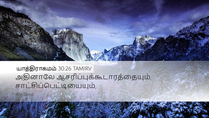 யாத்திராகமம் 30:26 TAMIRV Bible Verse Image
