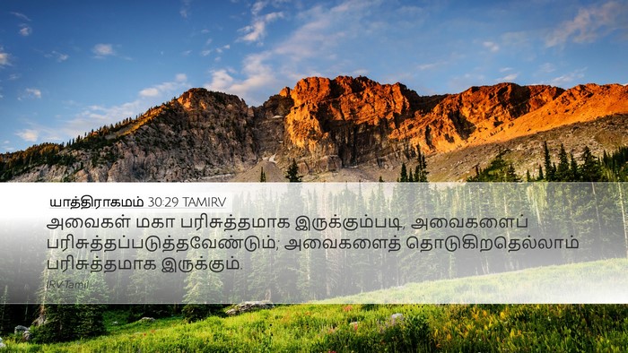 யாத்திராகமம் 30:29 TAMIRV Bible Verse Image