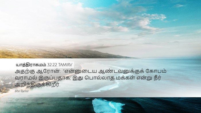 யாத்திராகமம் 32:22 TAMIRV Bible Verse Image