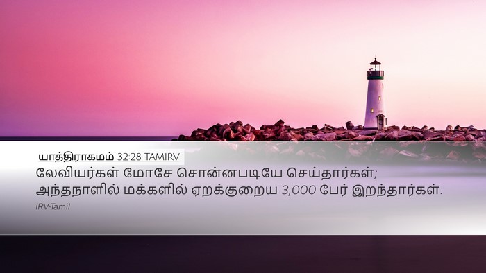 யாத்திராகமம் 32:28 TAMIRV Bible Verse Image