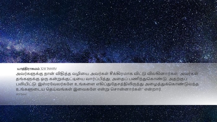 யாத்திராகமம் 32:8 TAMIRV Bible Verse Image