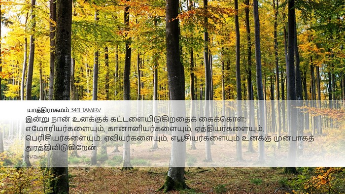 யாத்திராகமம் 34:11 TAMIRV Bible Verse Image
