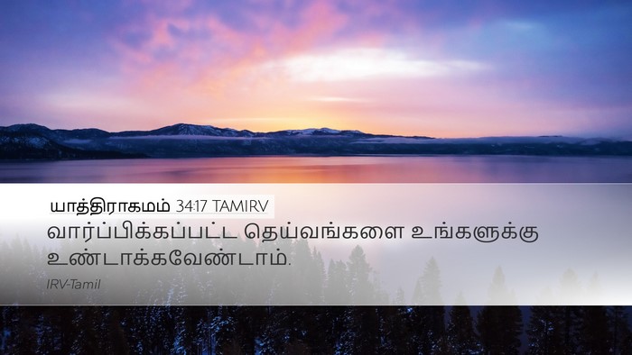 யாத்திராகமம் 34:17 TAMIRV Bible Verse Image
