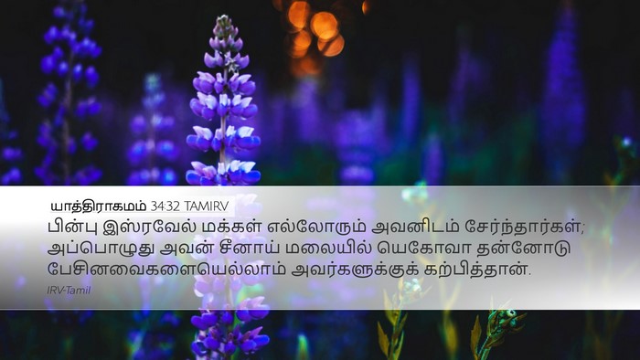 யாத்திராகமம் 34:32 TAMIRV Desktop Wallpaper - பின்பு இஸ்ரவேல் - Desktop Bible Verse Wallpaper