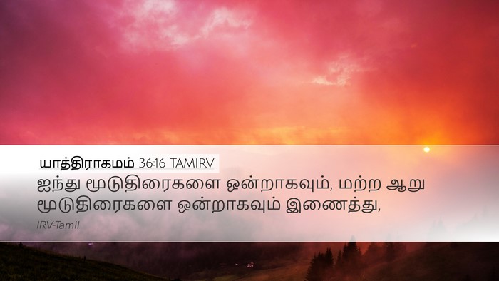 யாத்திராகமம் 36:16 TAMIRV Desktop Wallpaper - ஐந்து மூடுதிரைகளை - Desktop Bible Verse Wallpaper