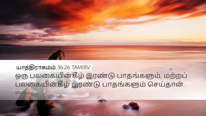யாத்திராகமம் 36:26 TAMIRV Desktop Wallpaper - ஒரு பலகையின்கீழ் - Desktop Bible Verse Wallpaper